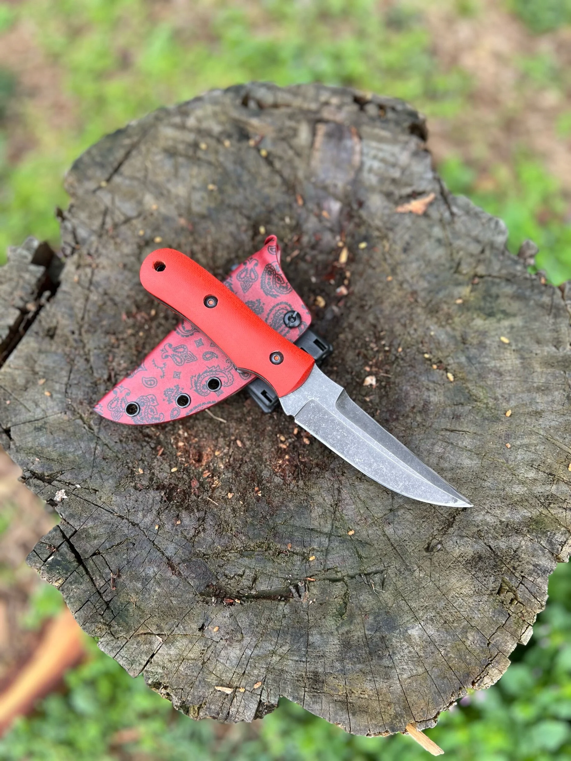 9ED9D0EB-EFE3-45F3-B284-5988DD2E5D3D