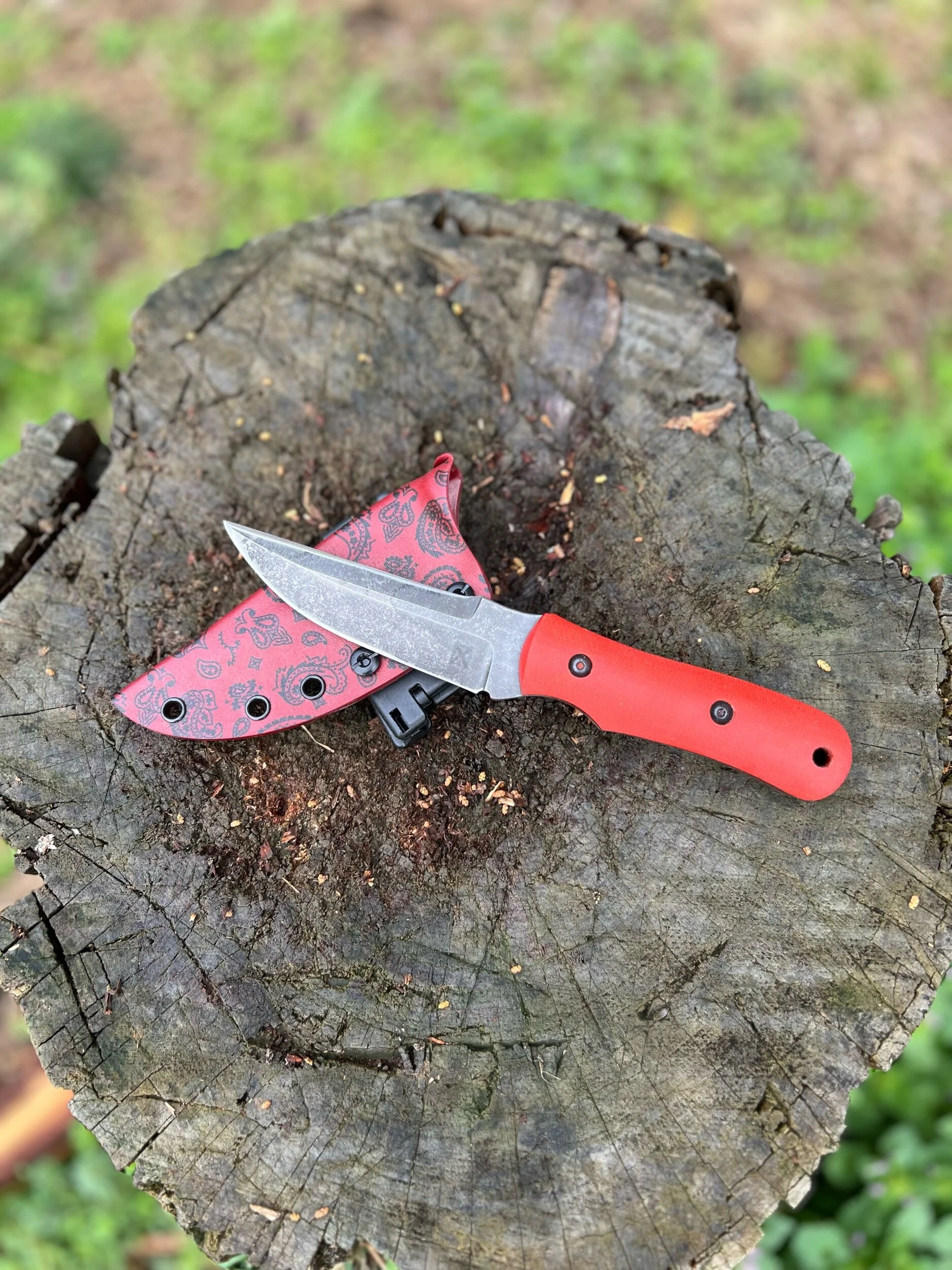 5C0E9211-7D3E-4AB6-970C-8FD8B3BBD35E