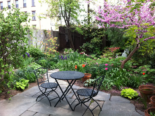 Spring-use-as-first-pic1.jpg