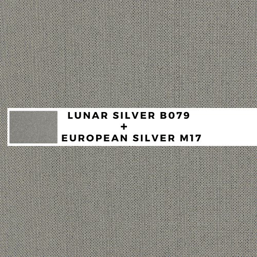 silver silver .png