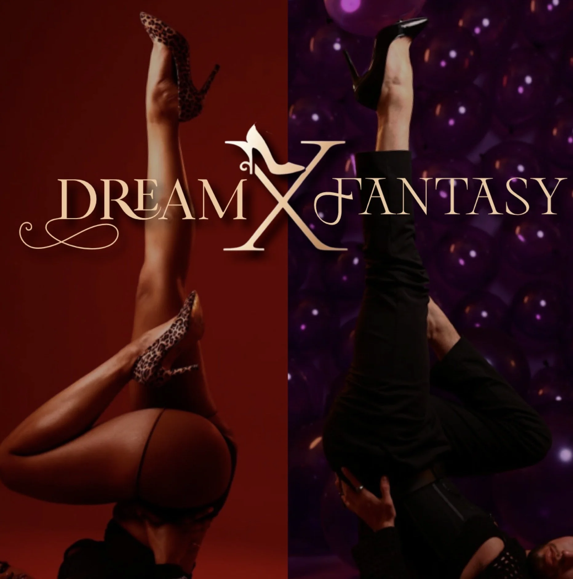 Dream X Fantasy