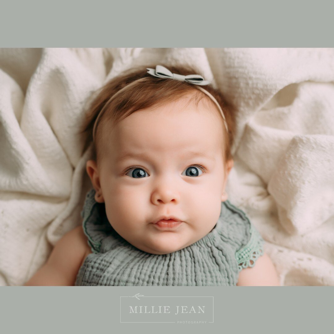 Her eyes! ⁠
⁠
#milestonesession #milliejeanphotography #babygirl #studiosession #newbornphotographer #ontarionewbornphotographer #burlingtonnewbornphotographer #burlingtonphotographystudio #burlingtonphotographer #ontariophotographer #qualifiednewbor