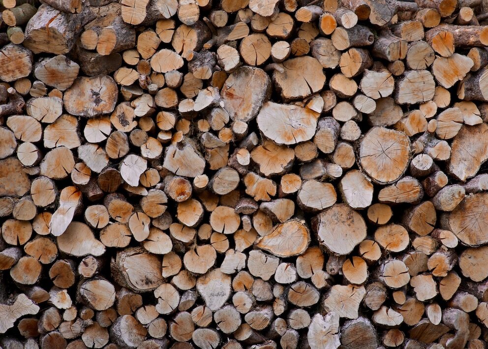 wood-pile.jpg