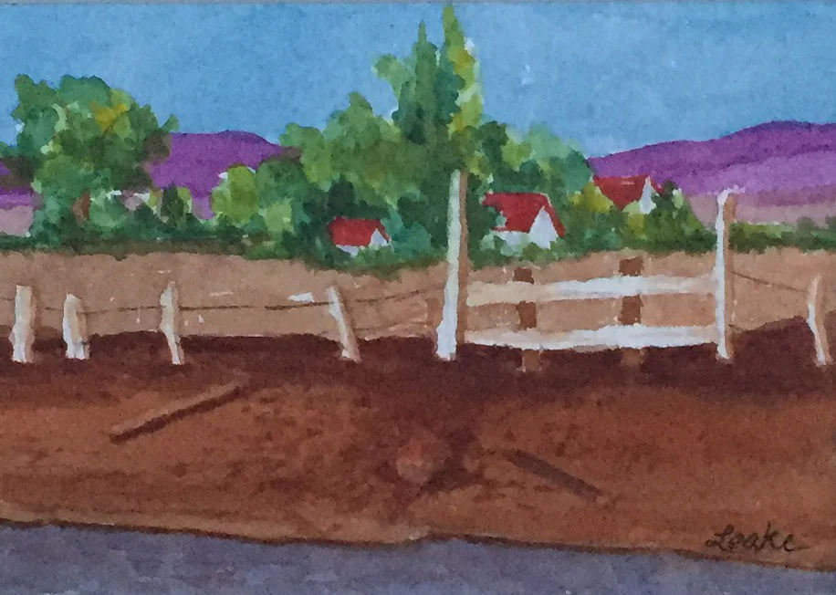 Old Fence