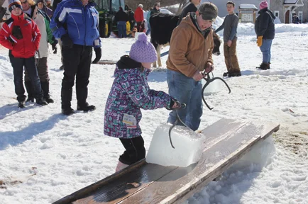 15th Annual Ice Harvest & Winter Carnival