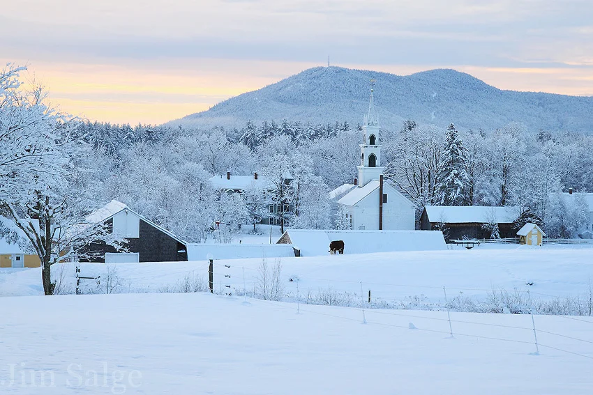 Holiday Open House @ Cook Memorial Library
