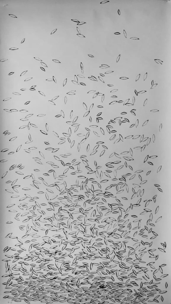 Suzanne Morrissette, solve, for some (detail).