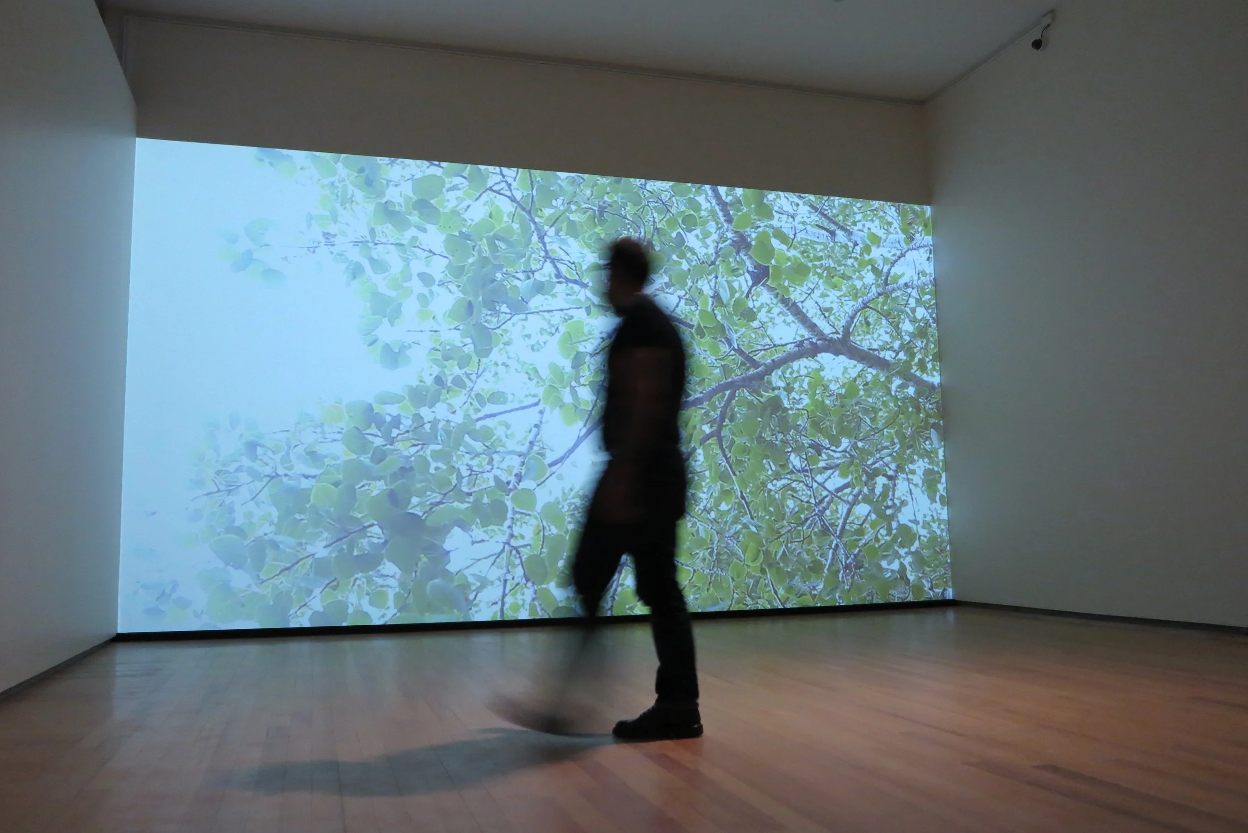 EXHIBITION (group): Lii Zoot Tayr (Other Worlds)