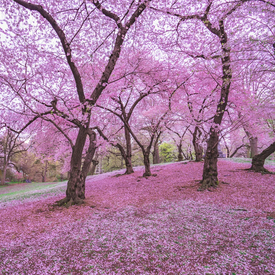 Spring+3.jpg