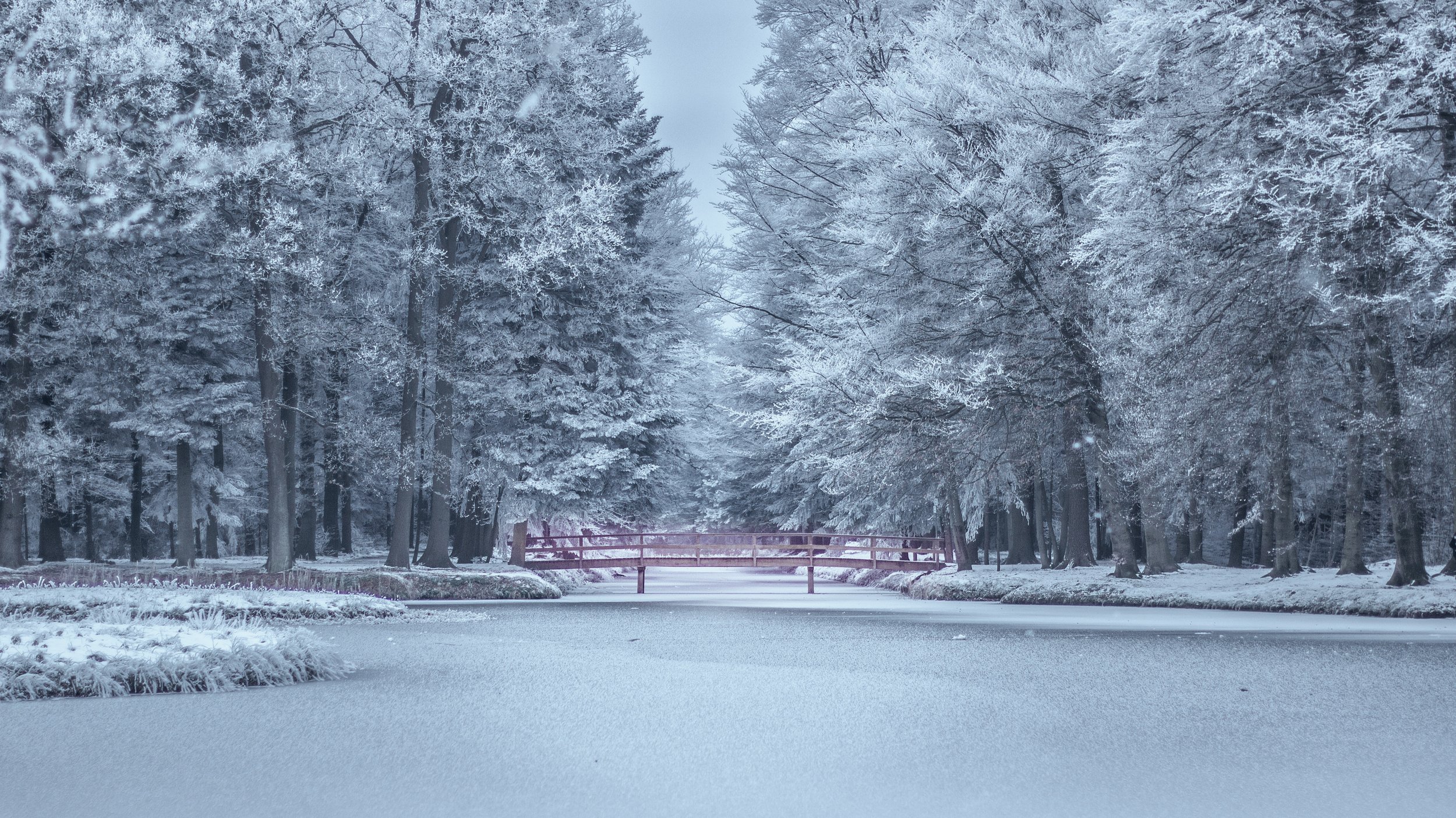 bridge-calm-cold-309384.jpg