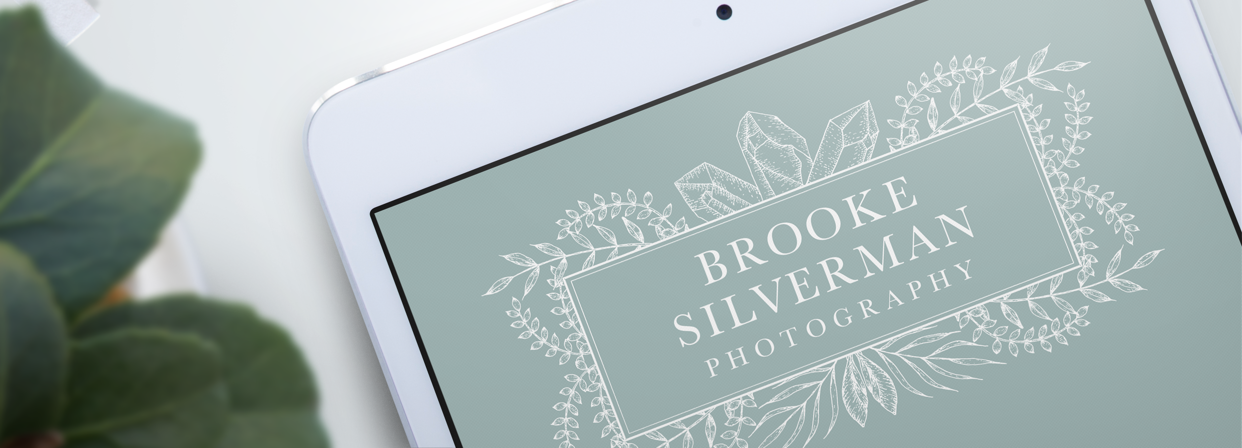 BSP Mockup 1.png