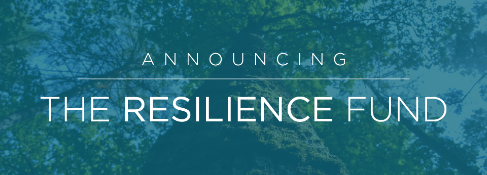 Resilience-Fund-Slider.png