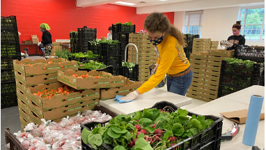 Food Security and Equity During COVID-19