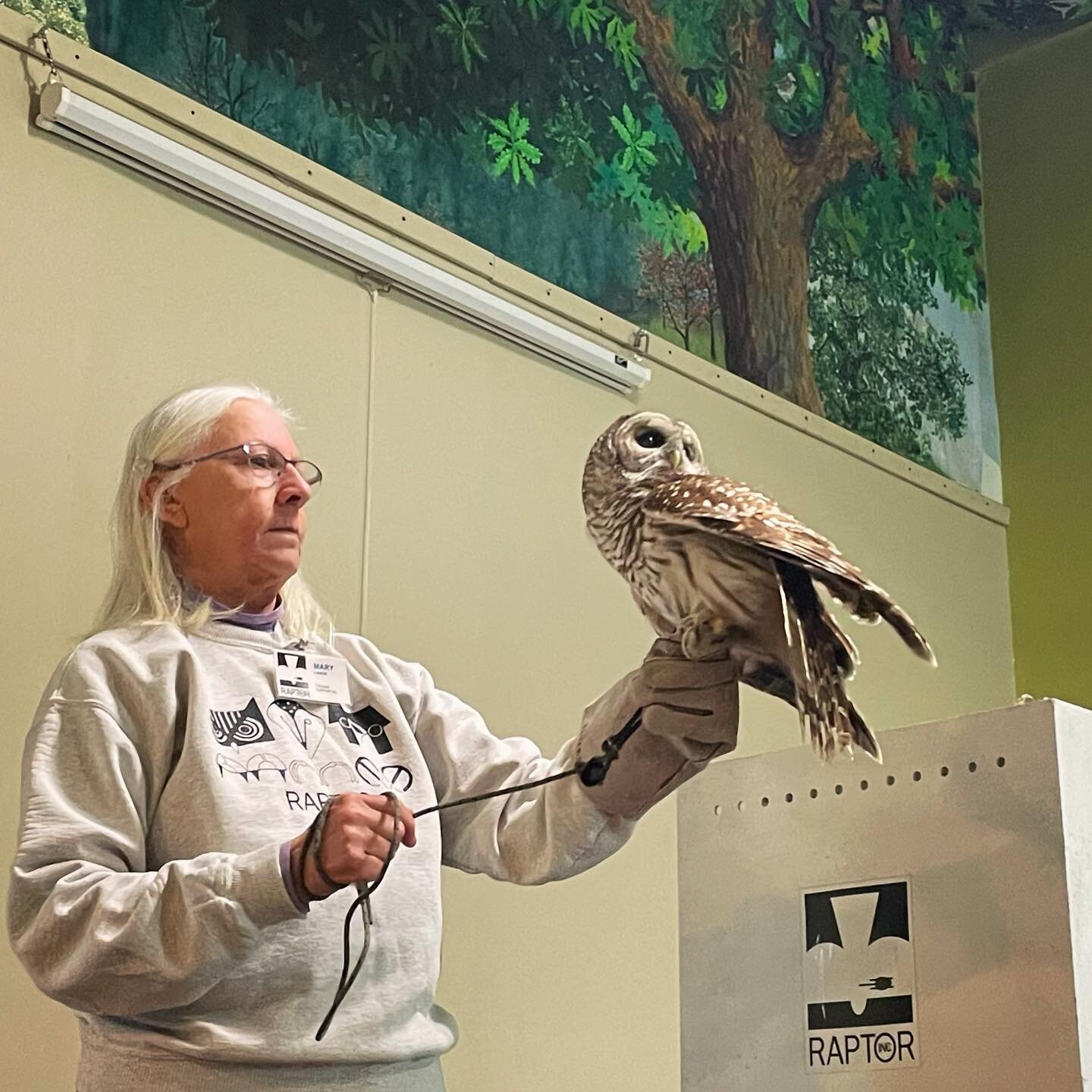 Today we had a great visit from Raptor Inc! We got to meet Spencer the barred owl, Apollo the peregrine falcon, and Earl the turkey vulture. Big thanks to @raptor_inc for this magical and informative visit 🦉