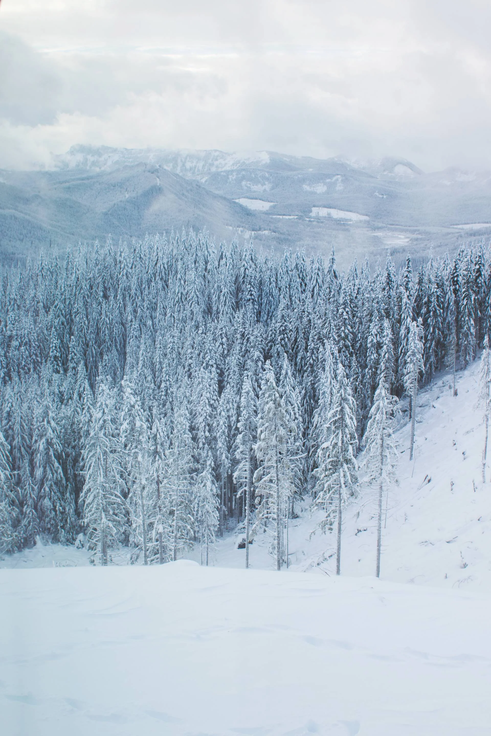 Winter in the Pacific Northwest, Seattle WA