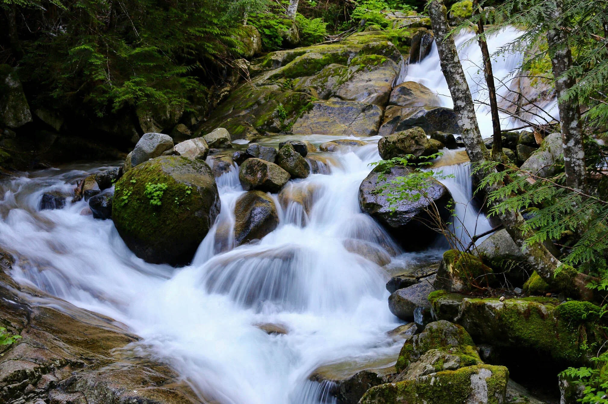 waterfall on Annette Lake Trail, Washington