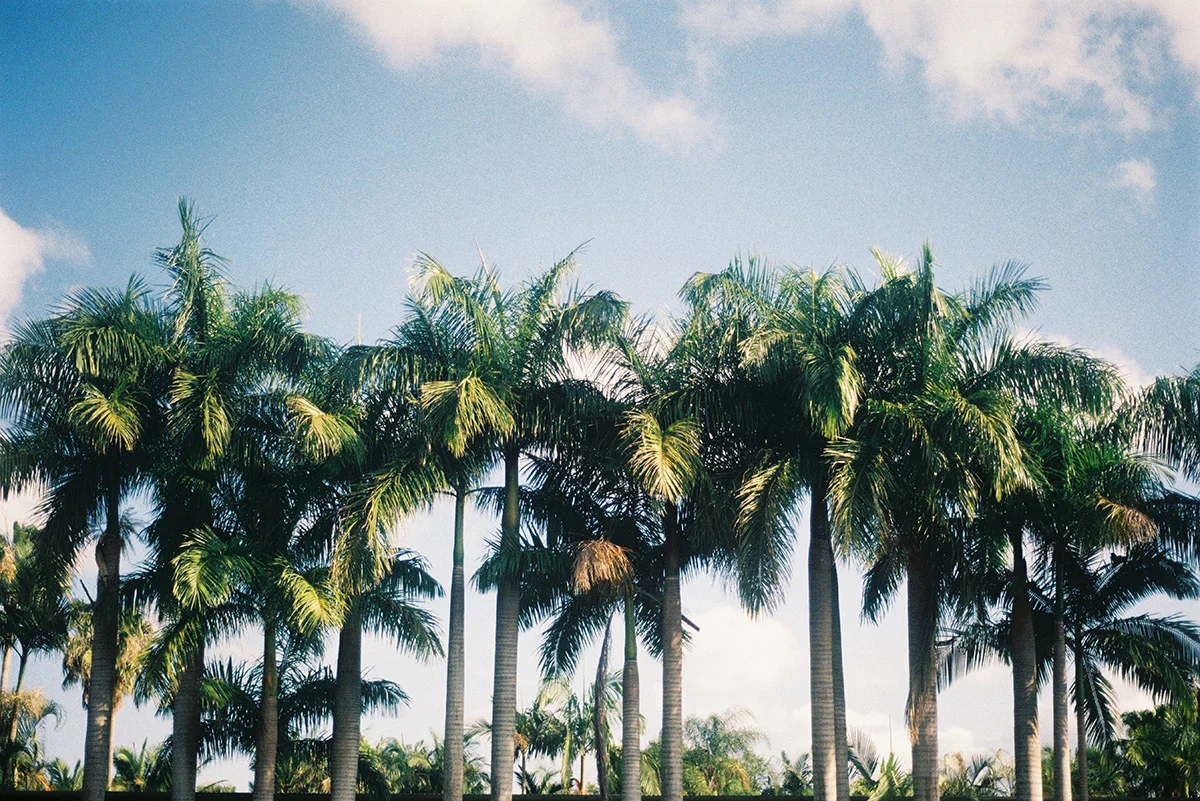 000064_resize.jpg