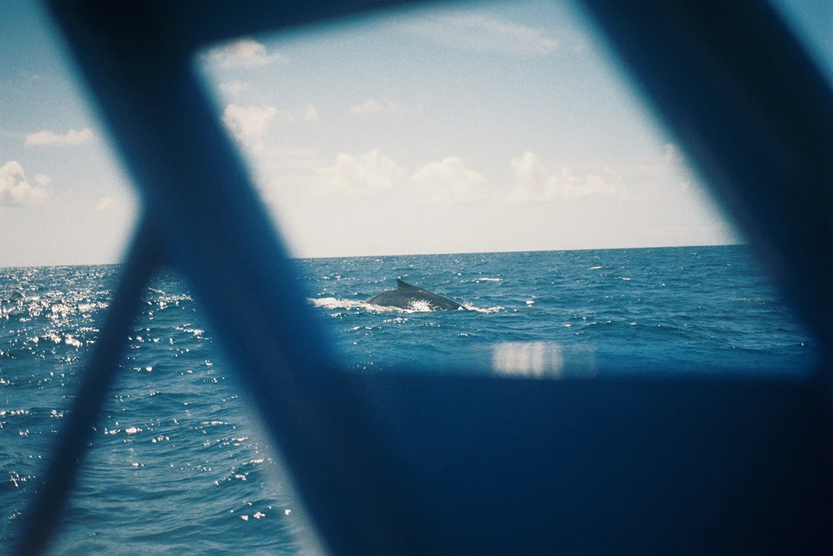 000072_resize.jpg