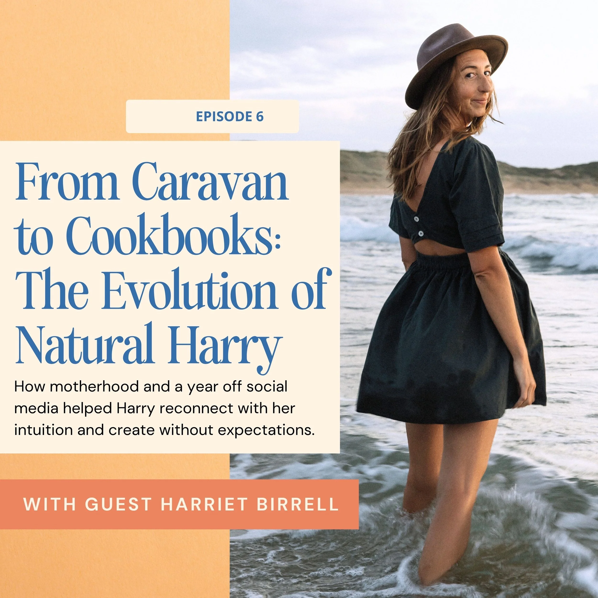 From Caravan to Cookbooks: The Evolution of Natural Harry