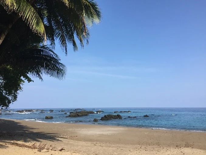 iMAGE 1.jpg