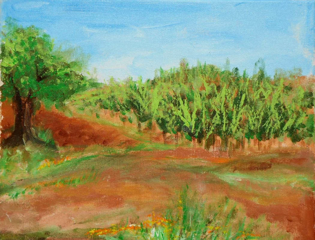 Napa Valley_2.jpg