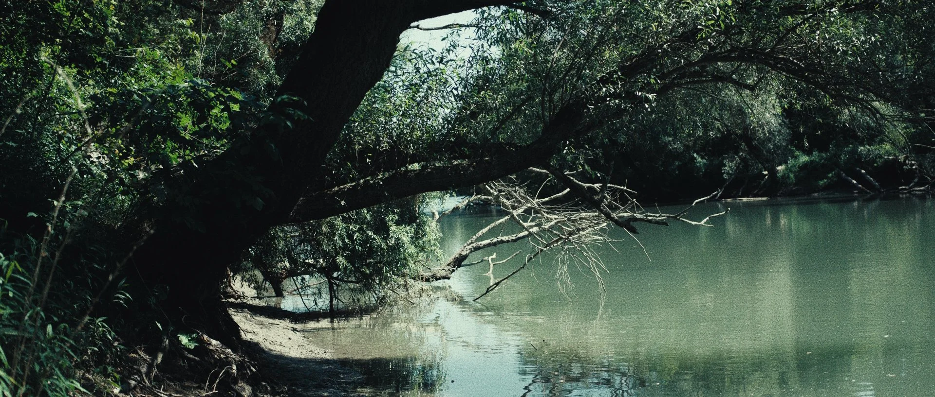 LocationStranger-6.jpg