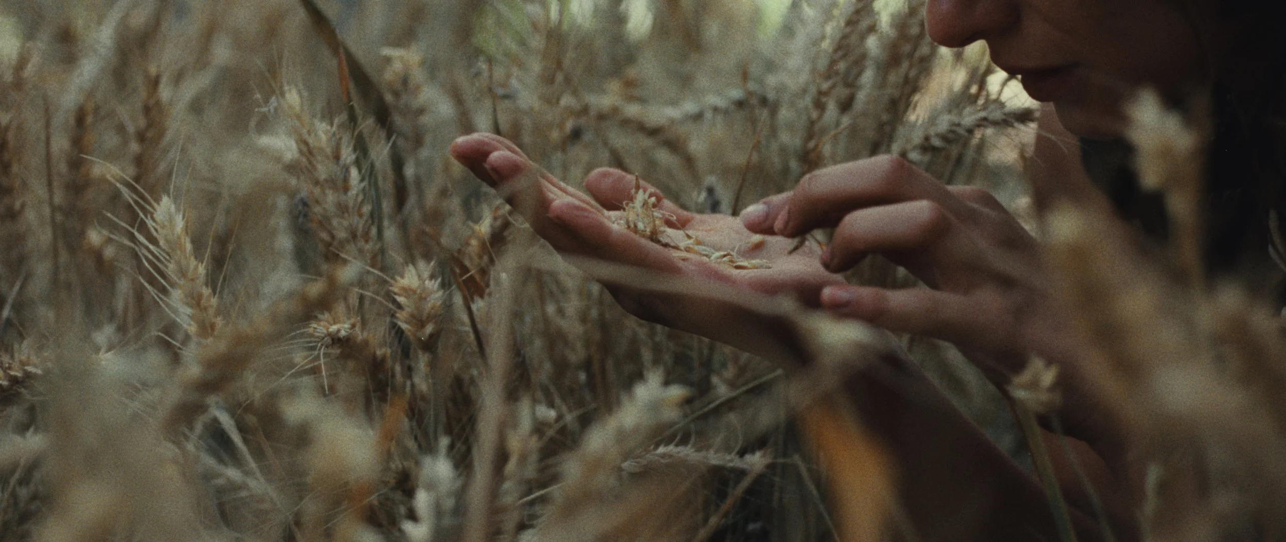 Screenshot 2024-01-16 at 11.22.52.jpg