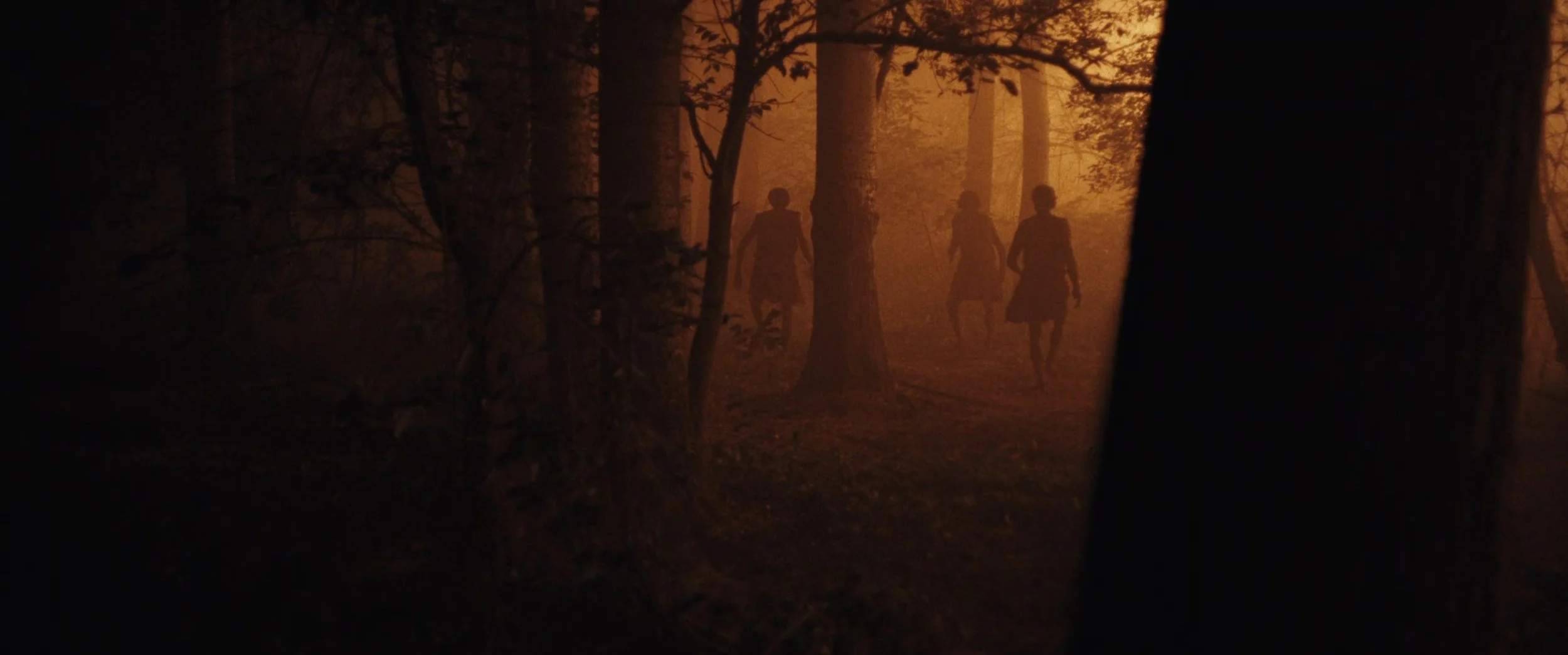 Screenshot 2025-05-29 at 13.08.57.jpg