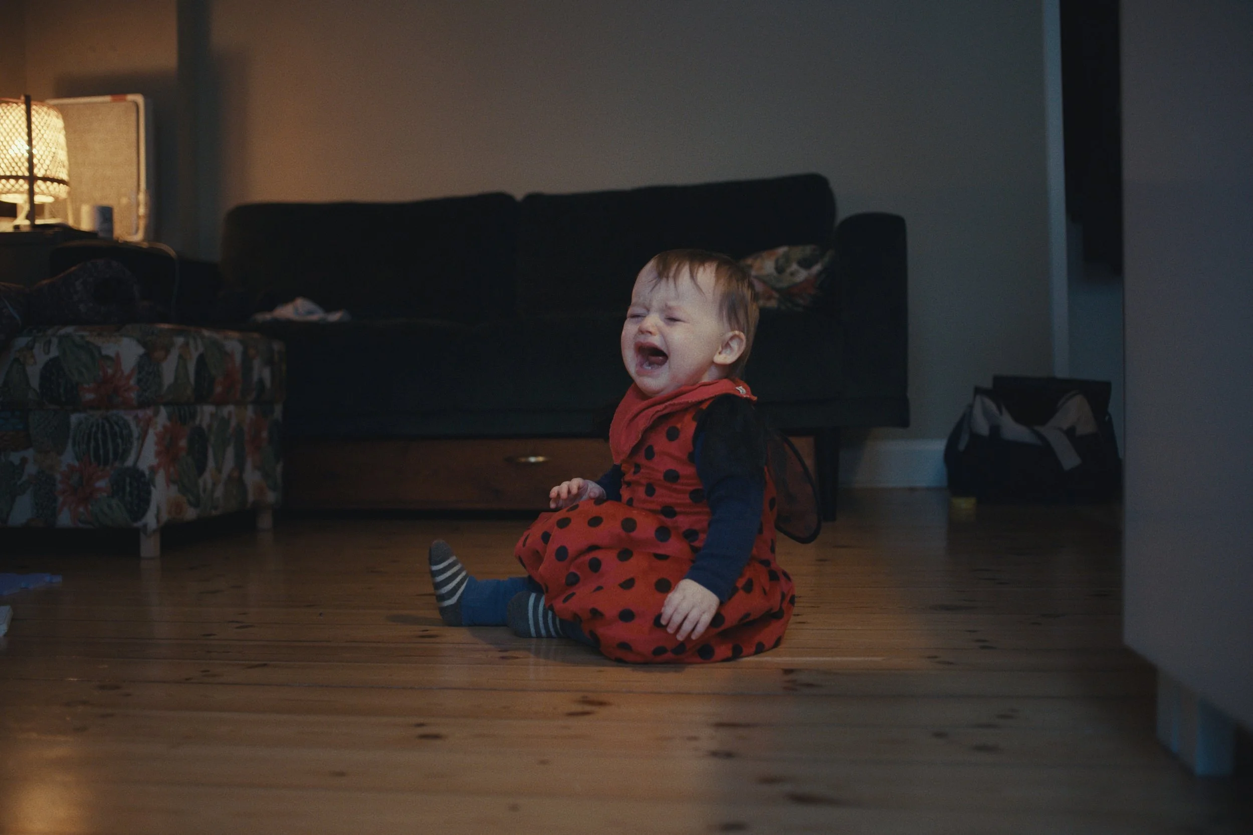 Still 2026-02-13 142732_1.154.1.jpg