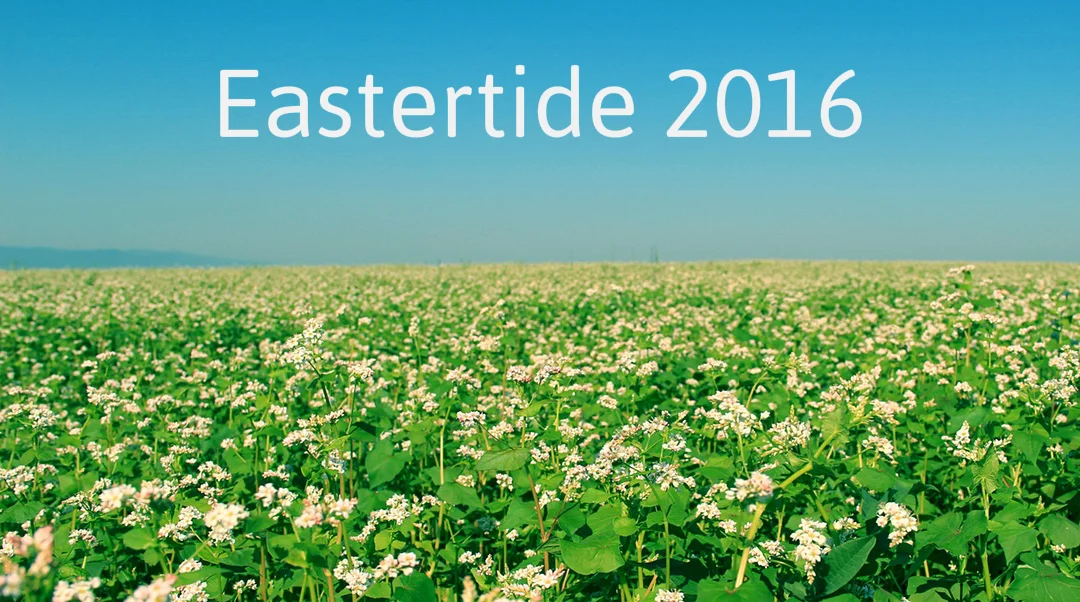 Eastertide 1: Easter Sunday