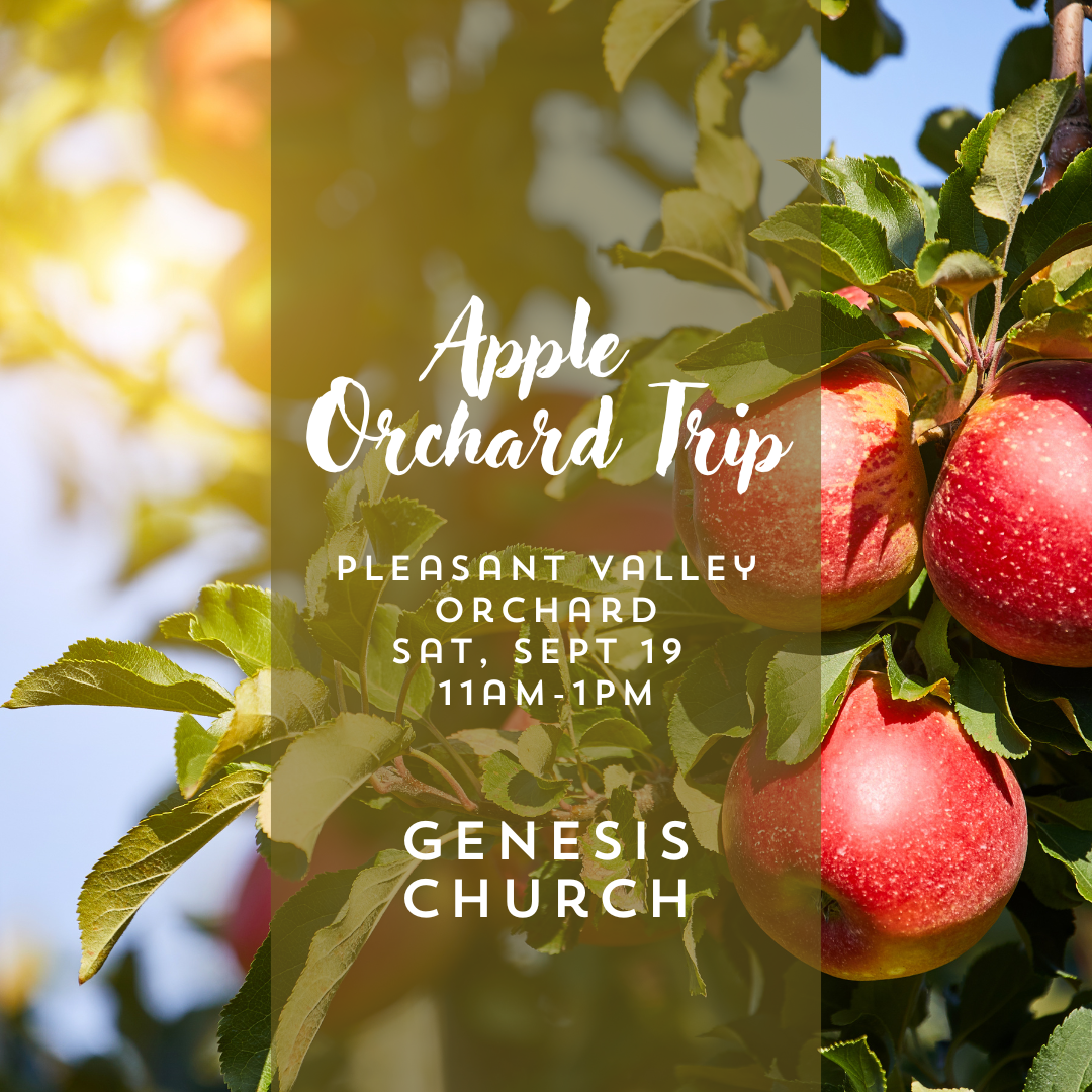 Apple Orchard