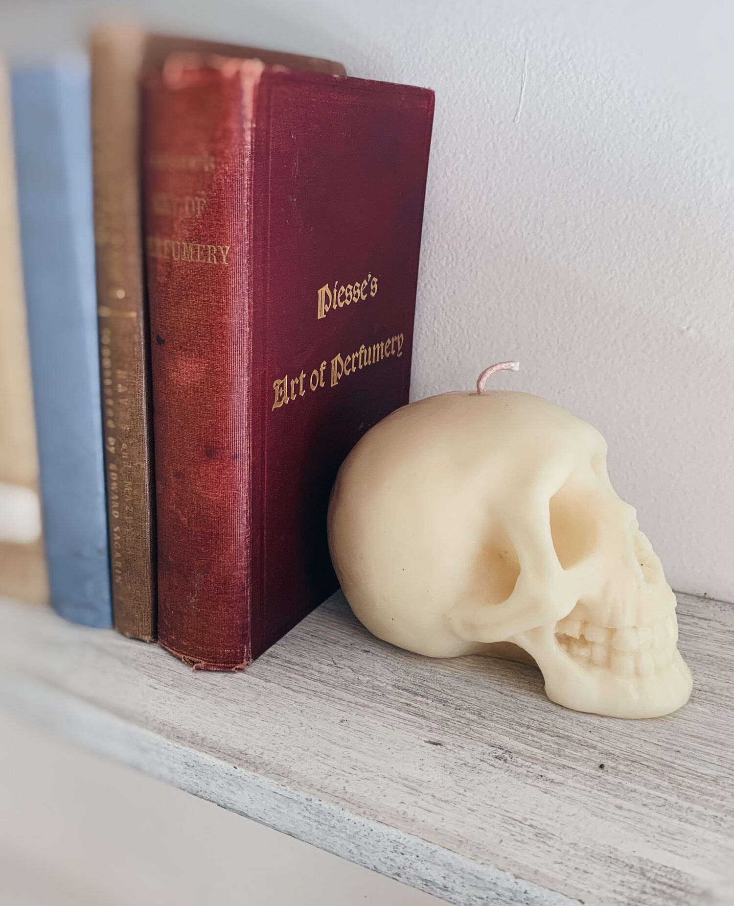 SKULL ALTAR CANDLE - pure beeswax — Flore Botanical Alchemy