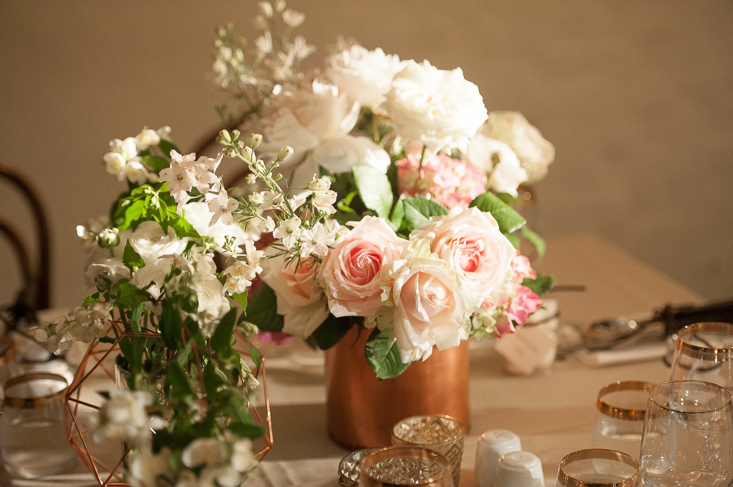 mrcook_establishment_011115-110.jpg
