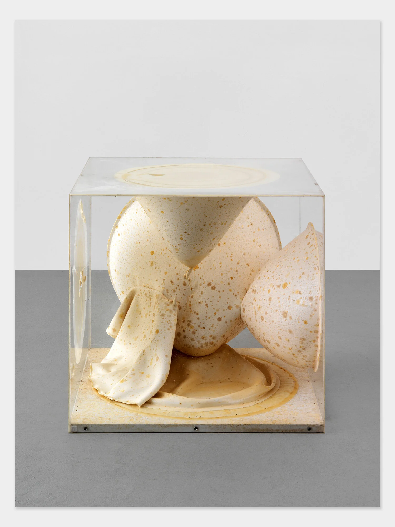 Plexiglas Box / Object-Box