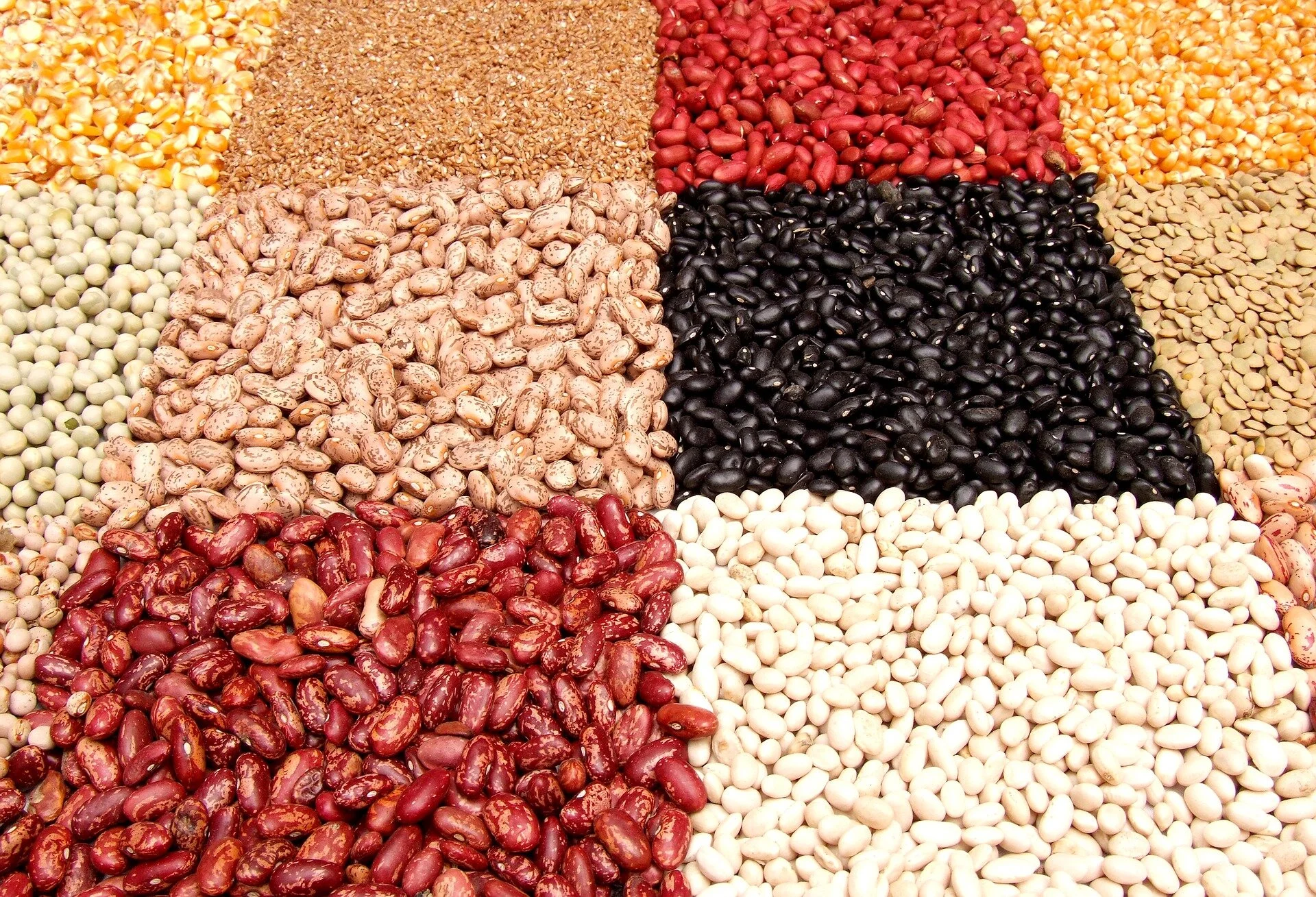 Proteine_vegan_ernähren.jpg
