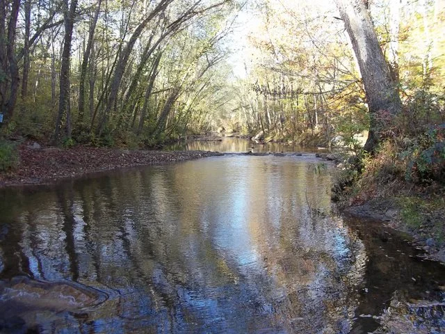saluda rock vanes.jpg