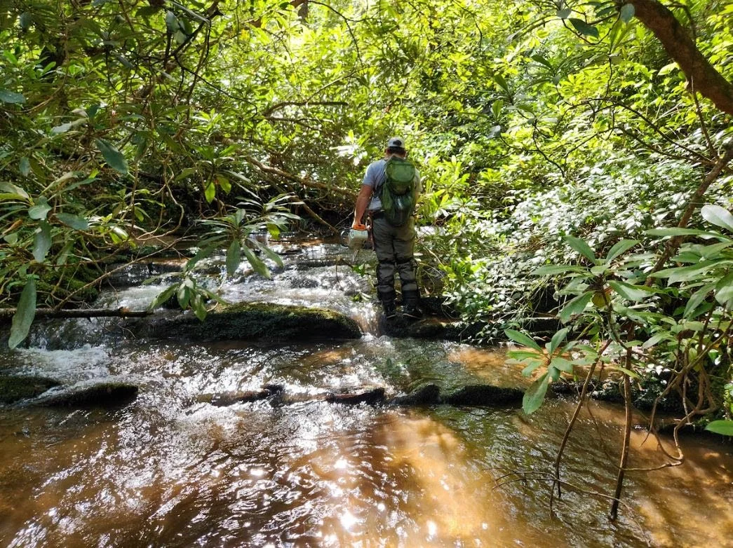 Volunteers Needed for Wright’s Creek Clearing