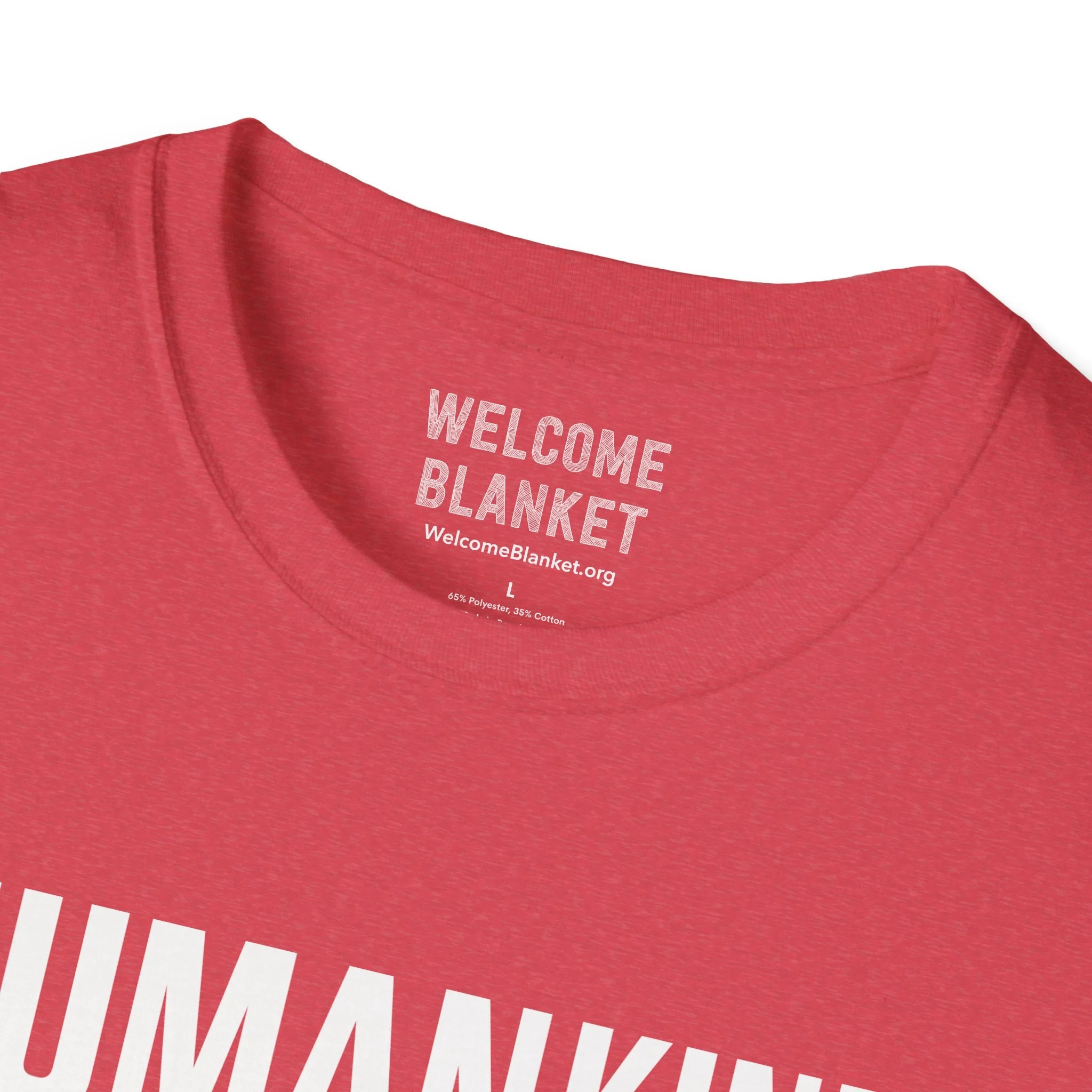 2b56fed8a73852a3fc8d2327a8587271