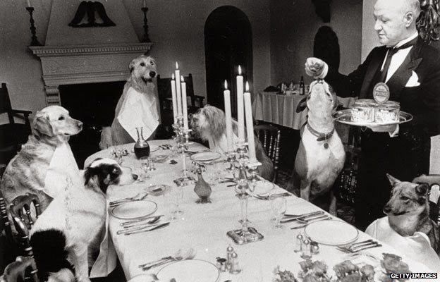 Human grade dog food made specially to your pet's preferences, dietary restrictions and needs. 