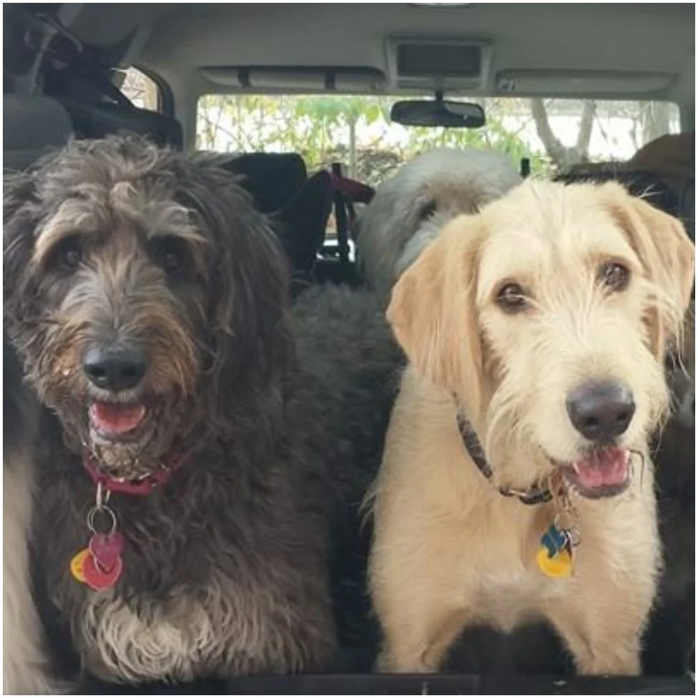 Kaos & Keiper