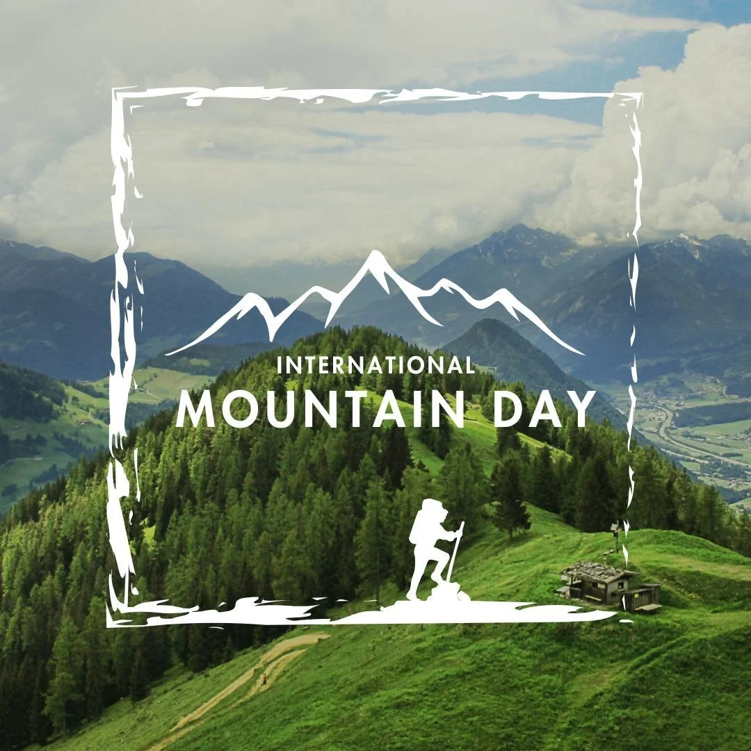 🌄Happy International Mountain Day

🚶&zwj;♀️🥾 What are some of the mountains you are facing in your interior design business right now? 

🔥Do you know if you are even making a profit in your business or not? 

🔥Do you know how much sales tax you 