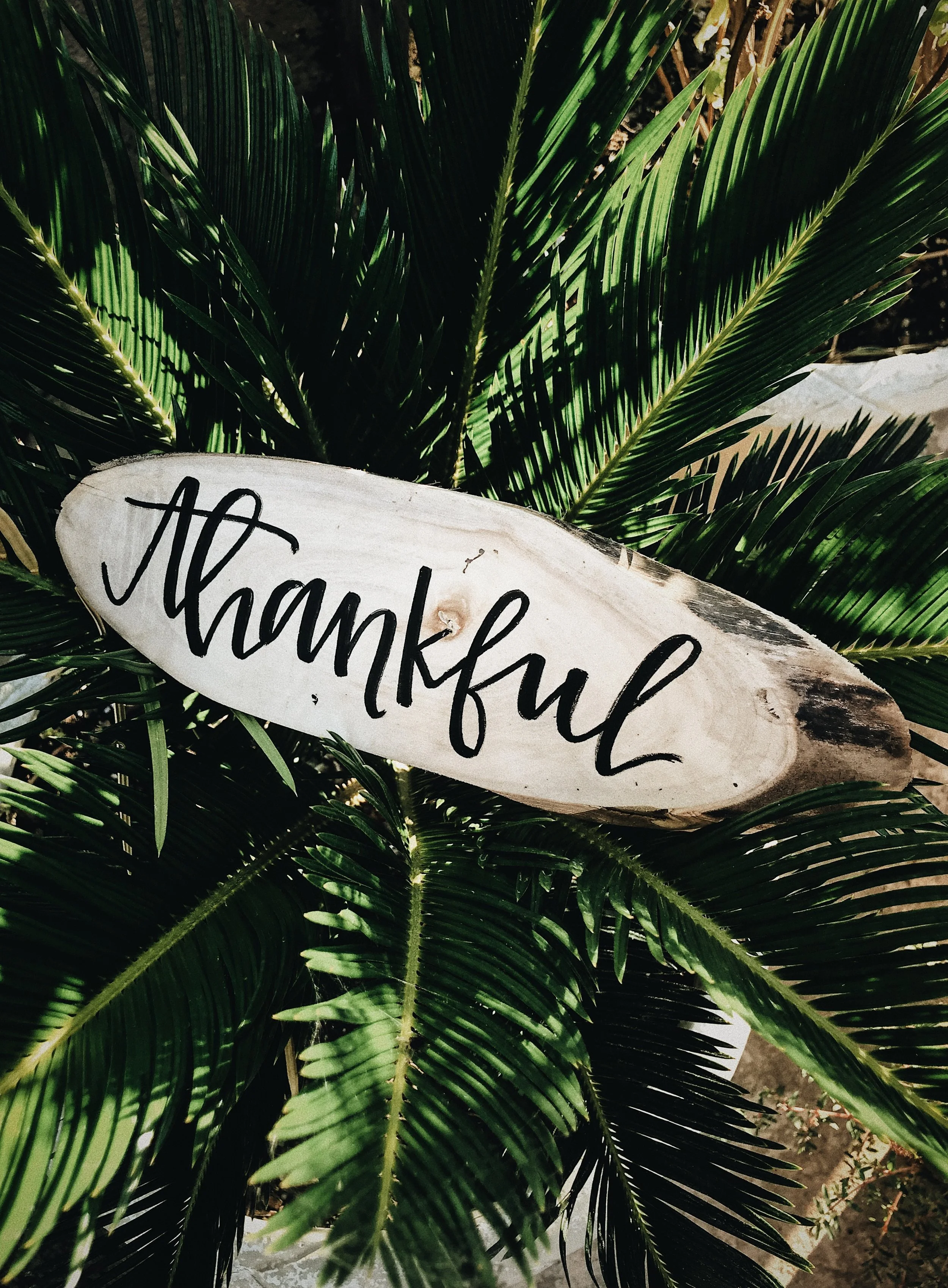How to Give Back This Holiday Season