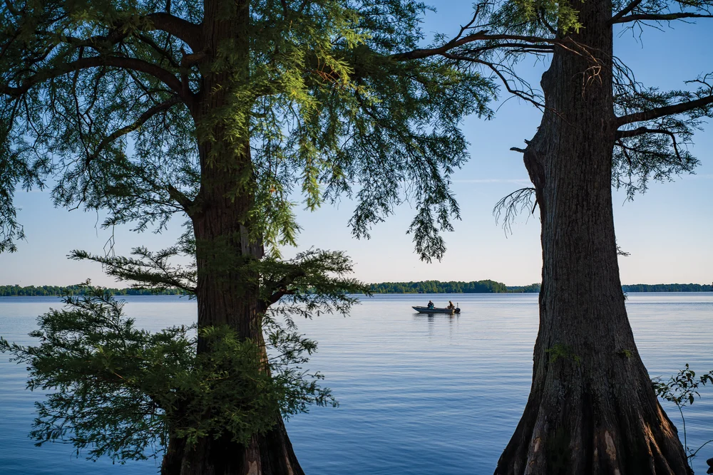 Reelfoot Lake — Cypress Magazine
