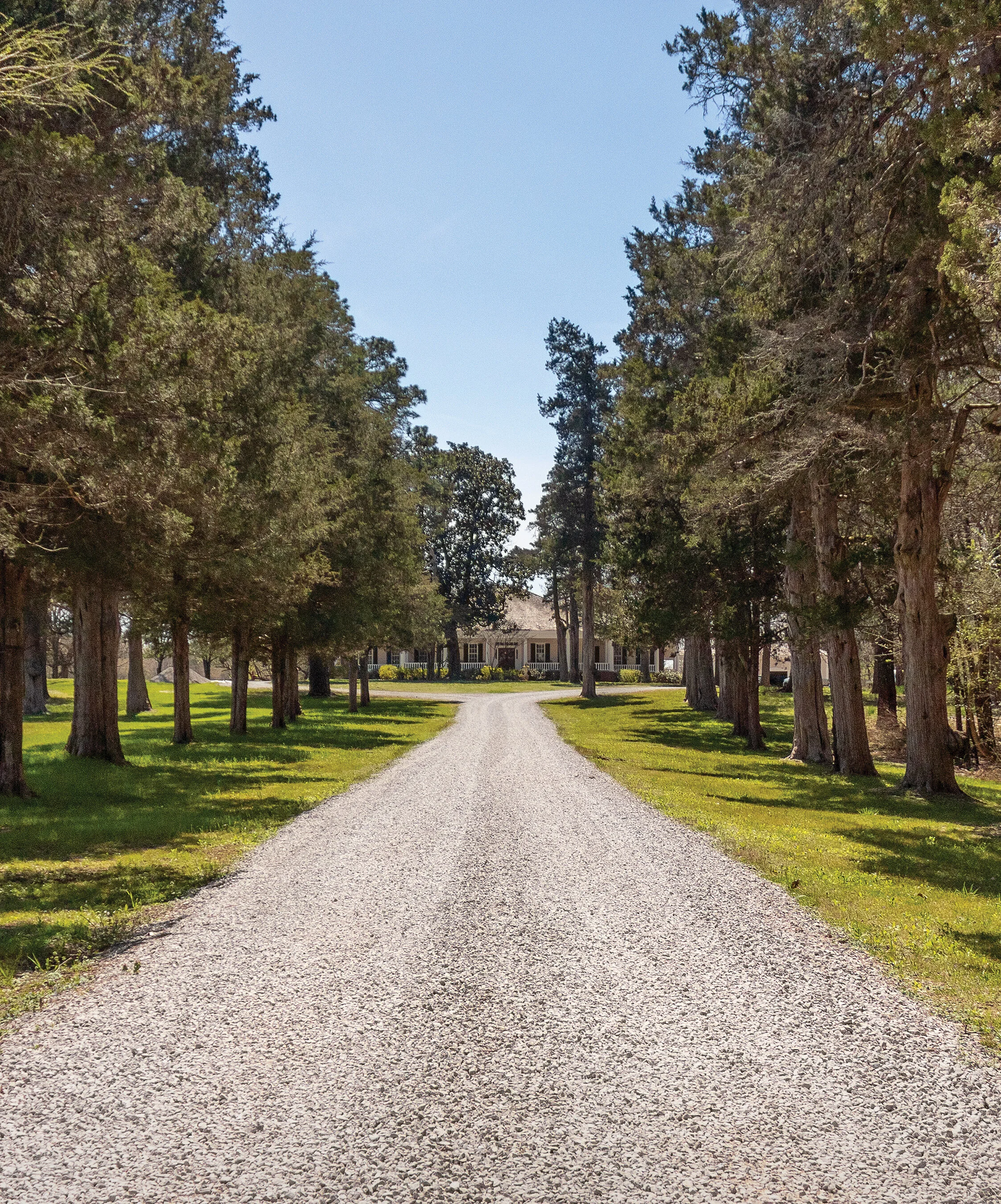 Year in Review: 2019 Cypress Weddings 