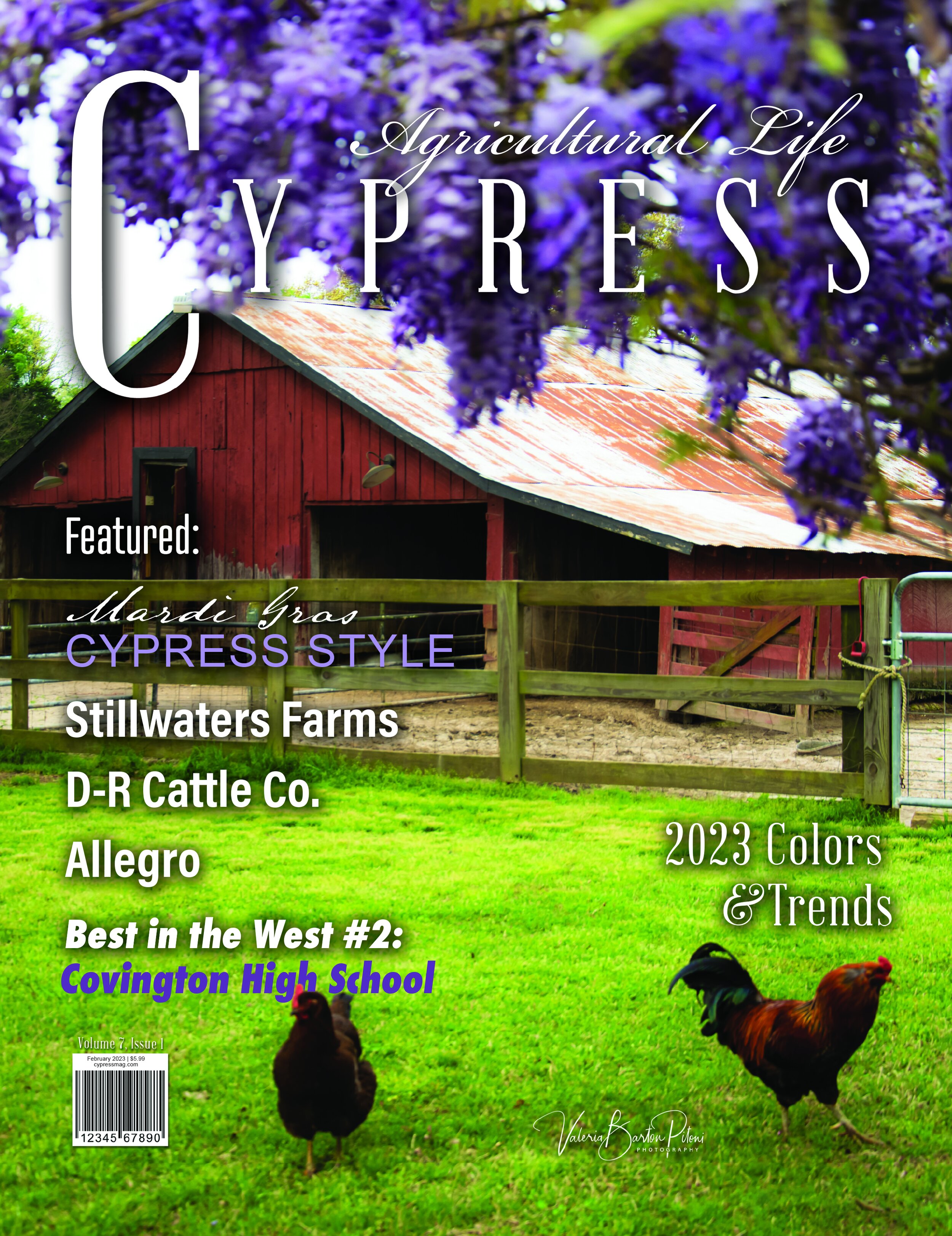 Back Yard Fill-Up — Cypress Magazine