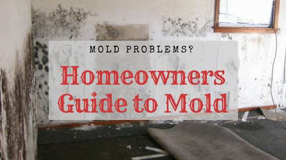 Homeowners Guide to Mold