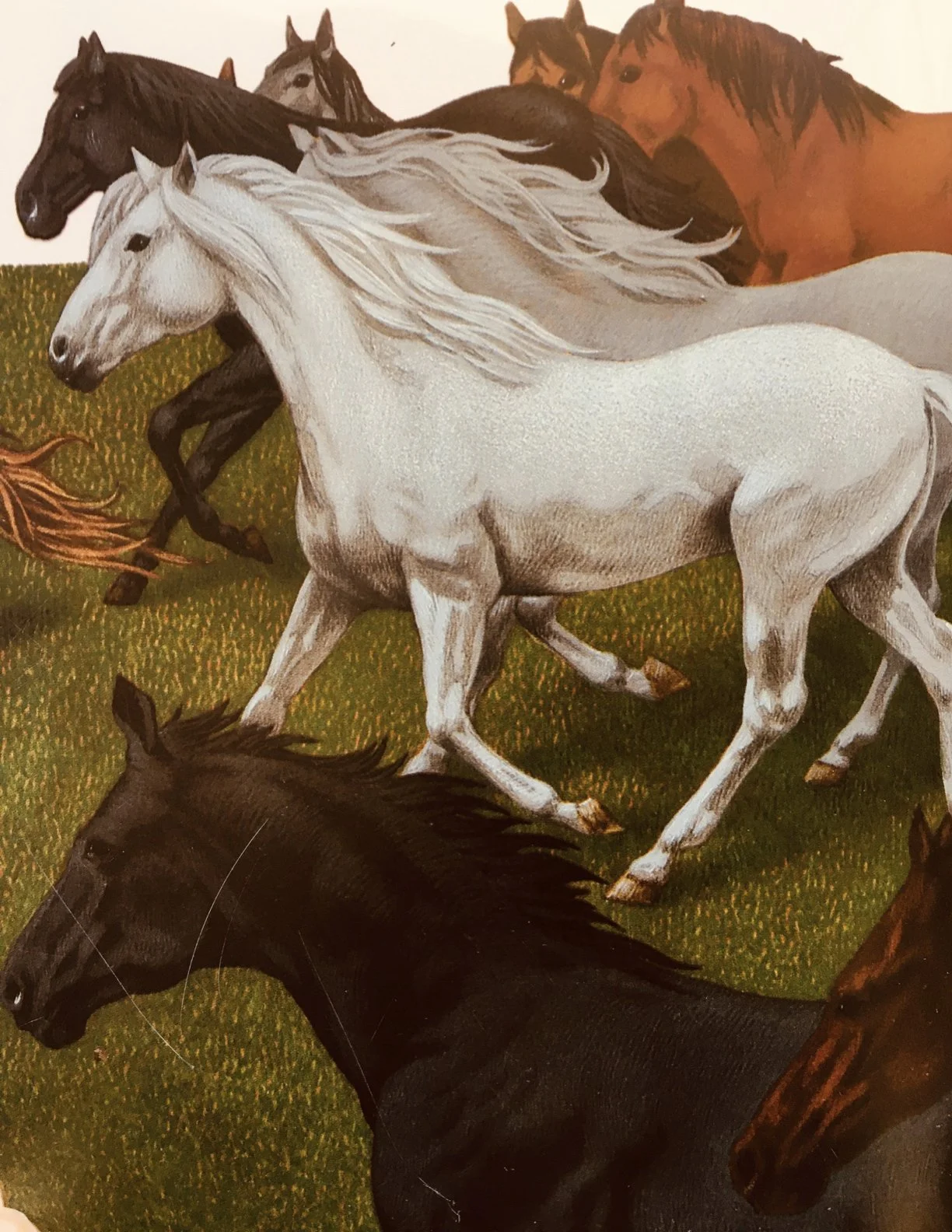 November 2023 Long Form Pony Show