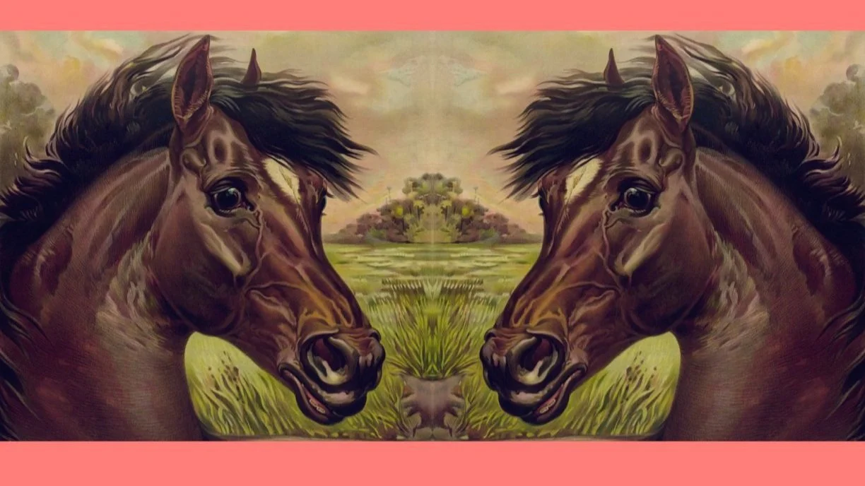 May 2024 Long Form Pony Show