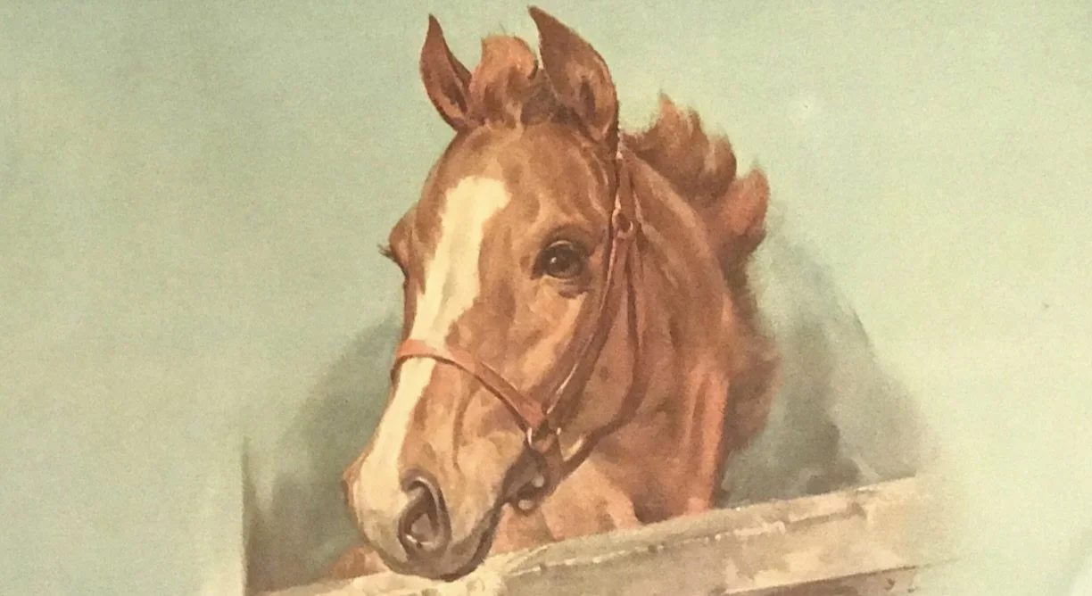 August Long Form Pony Show