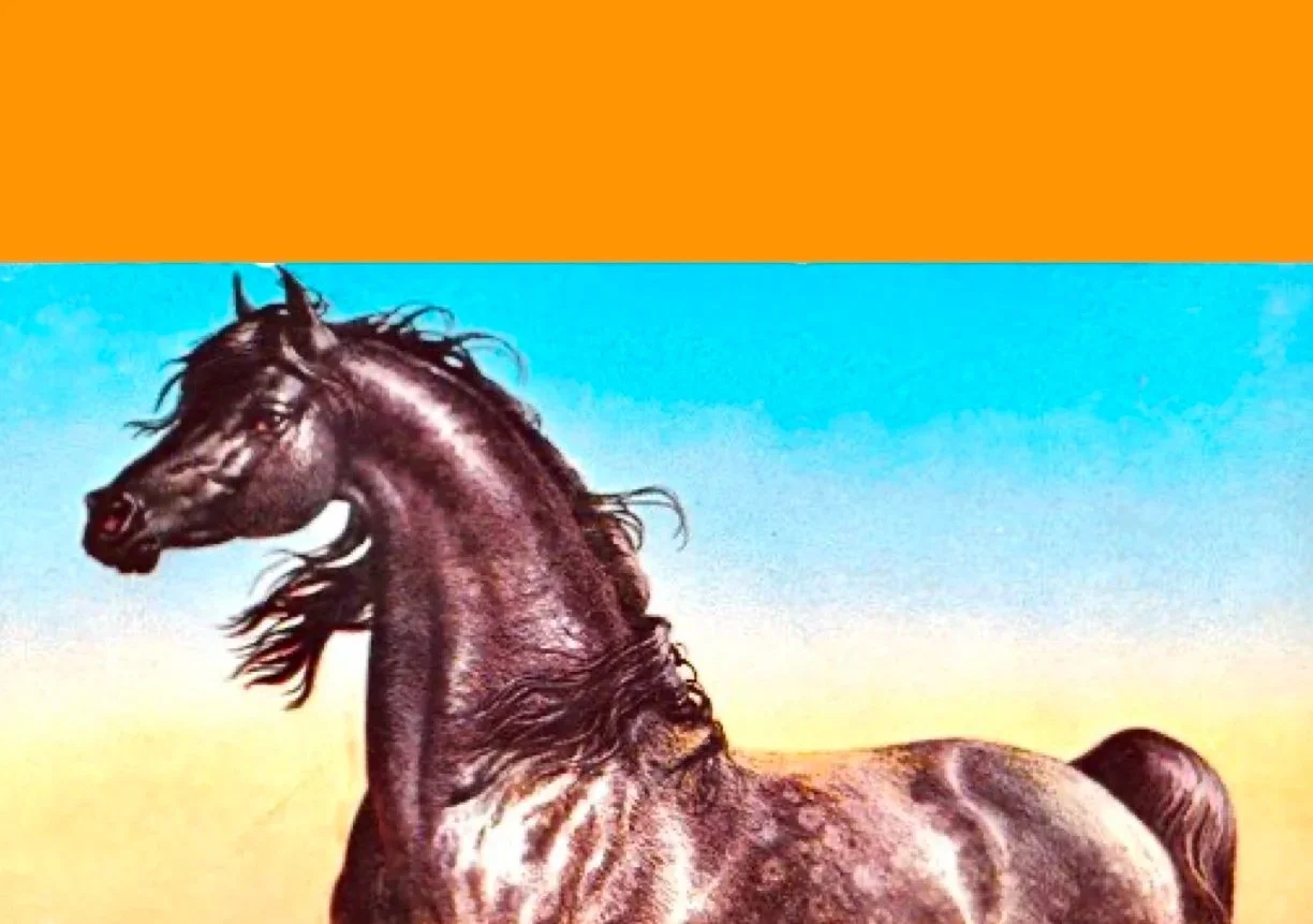 PonyShow8 no text.1.jpg